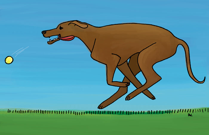 Picture to Picture Folder