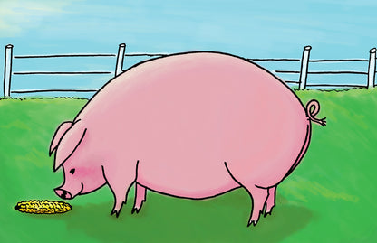 Picture to Picture Folder