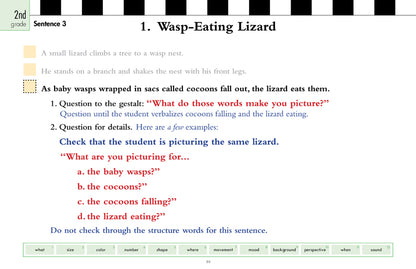 V/V® Sentence by Sentence Easel Books
