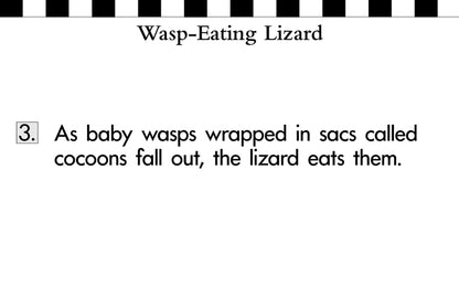 V/V® Sentence by Sentence Easel Books