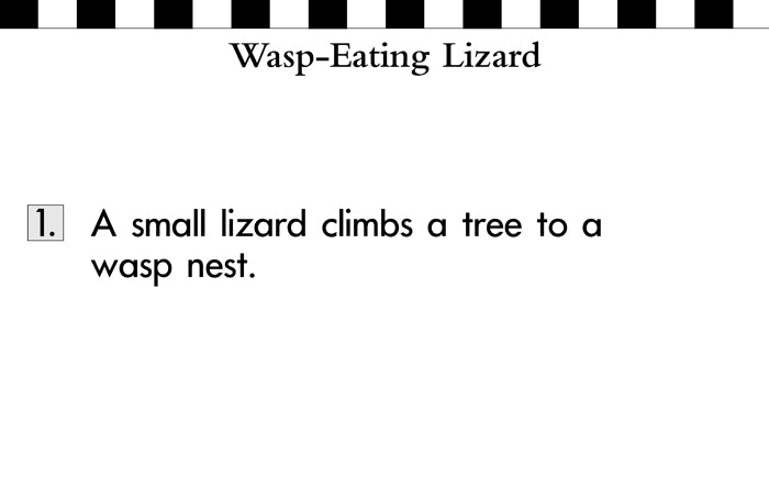 V/V® Sentence by Sentence Easel Books