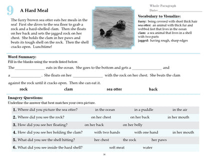 V/V® Comprehension Workbooks - Grade 2