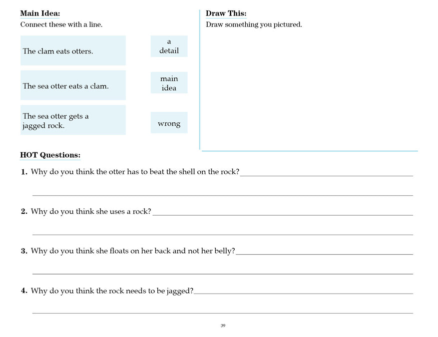 V/V® Comprehension Workbooks - Grade 2