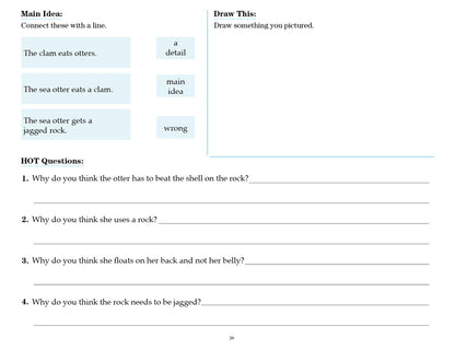 V/V® Comprehension Workbooks - Grade 2