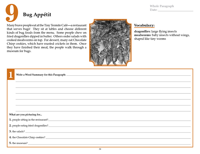 V/V® Comprehension Workbooks - Grade 3