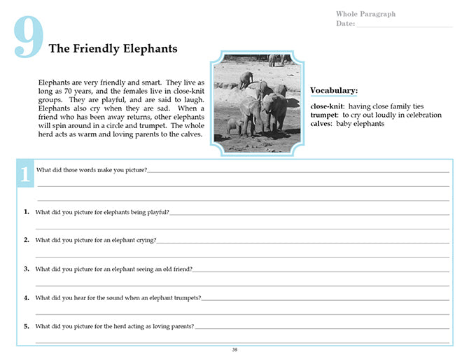 V/V® Comprehension Workbooks - Grade 4