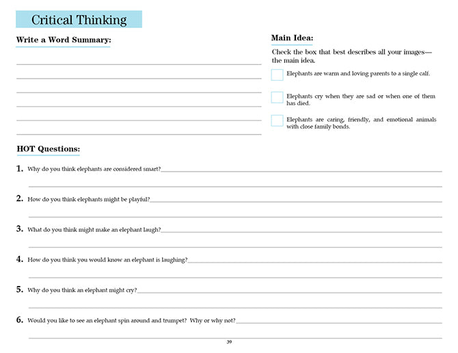 V/V® Comprehension Workbooks - Grade 4