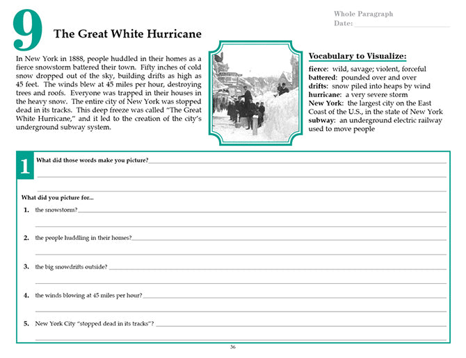 V/V® Comprehension Workbooks - Grade 5