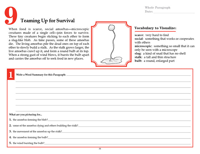 V/V® Comprehension Workbooks - Grade 6