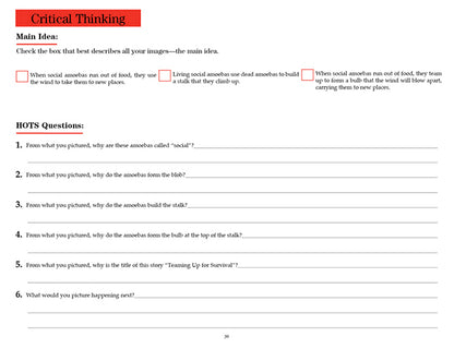 V/V® Comprehension Workbooks - Grade 6