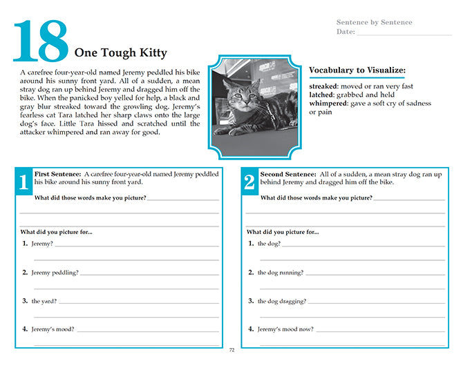 V/V® Comprehension Workbooks - Grade 6: Inspiring Stories