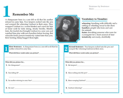 V/V® Comprehension Workbooks - Grade 6: Inspiring Stories