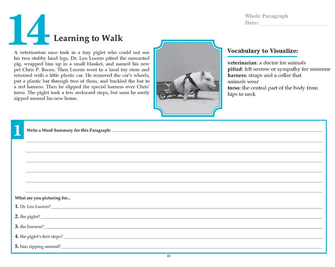 V/V® Comprehension Workbooks - Grade 6: Inspiring Stories