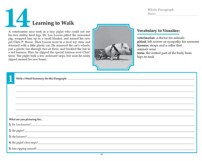 V/V® Comprehension Workbooks - Grade 6: Inspiring Stories