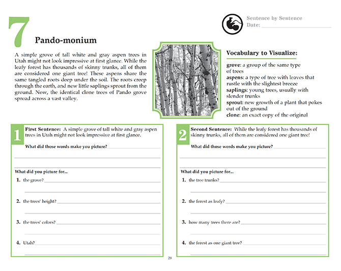 V/V® Comprehension Workbooks - Grade 5: Living Planet