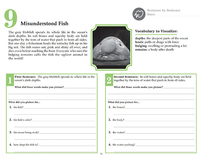 V/V® Comprehension Workbooks - Grade 5: Living Planet