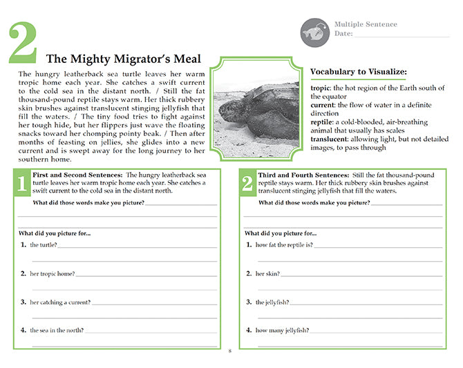 V/V® Comprehension Workbooks - Grade 5: Living Planet