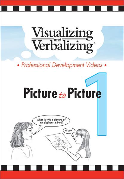 V/V® Professional Development DVD 1 - Picture to Picture