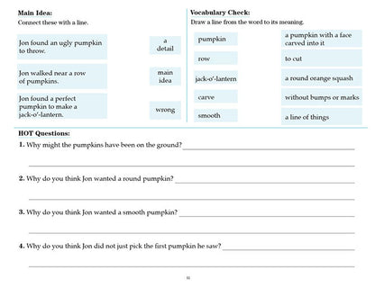 V/V® Comprehension Workbooks - Grade 2