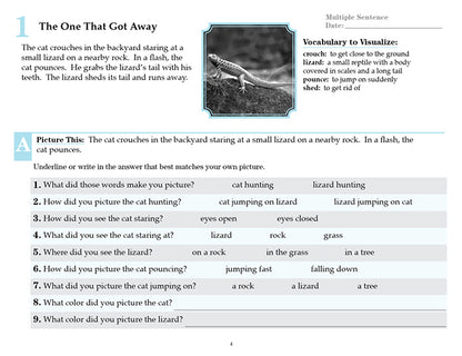 V/V® Comprehension Workbooks - Grade 2