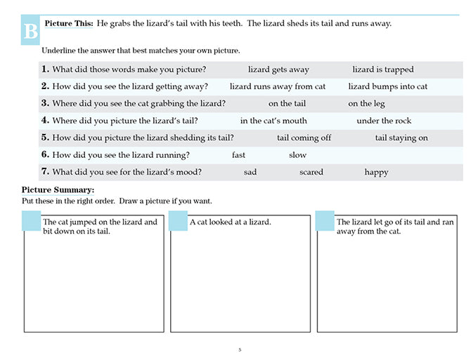 V/V® Comprehension Workbooks - Grade 2