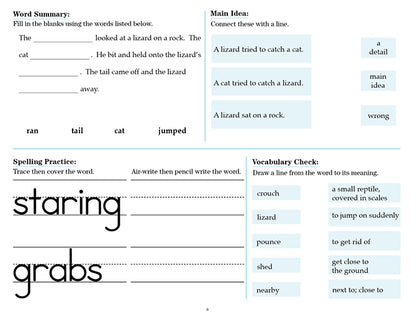 V/V® Comprehension Workbooks - Grade 2