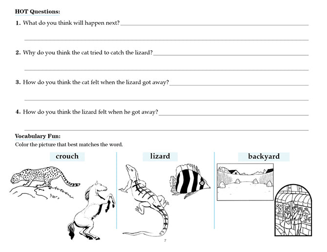 V/V® Comprehension Workbooks - Grade 2