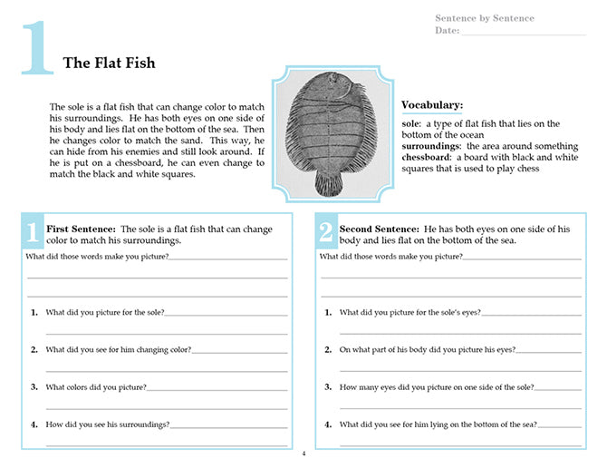 V/V® Comprehension Workbooks - Grade 4