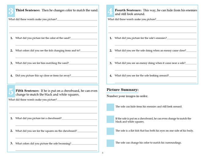 V/V® Comprehension Workbooks - Grade 4