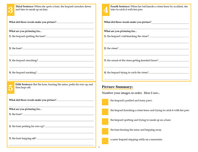 V/V® Comprehension Workbooks - Grade 4