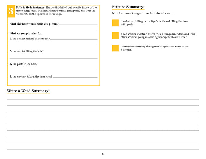 V/V® Comprehension Workbooks - Grade 4