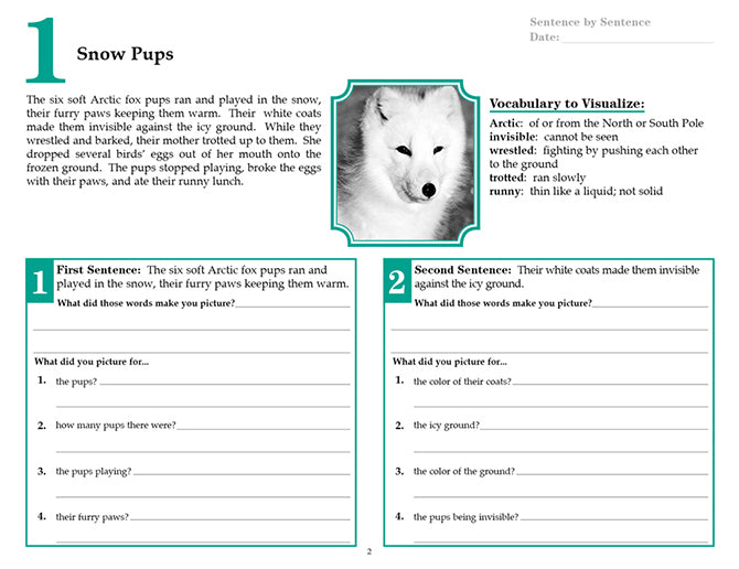 V/V® Comprehension Workbooks - Grade 5