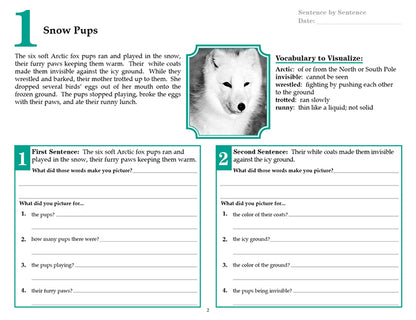 V/V® Comprehension Workbooks - Grade 5