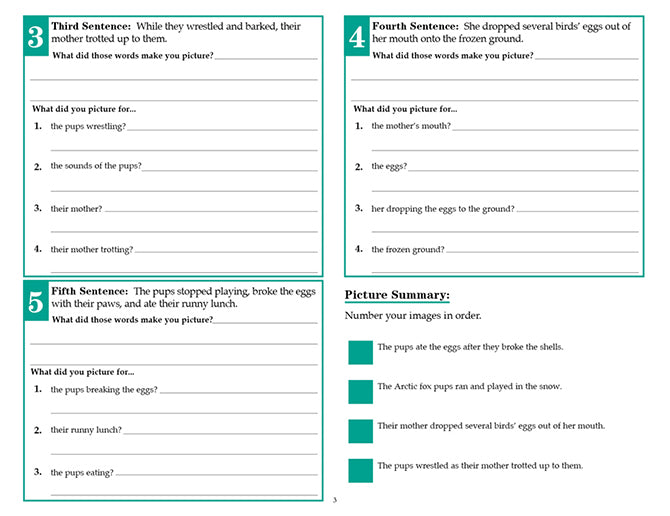 V/V® Comprehension Workbooks - Grade 5