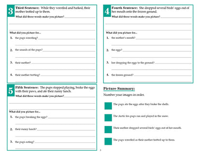 V/V® Comprehension Workbooks - Grade 5