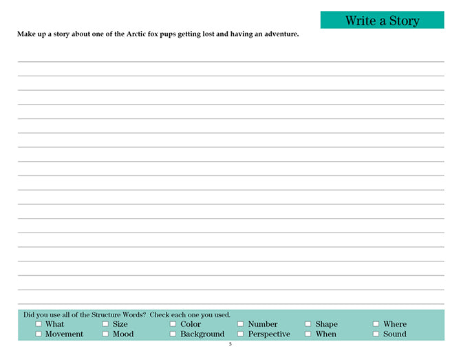 V/V® Comprehension Workbooks - Grade 5