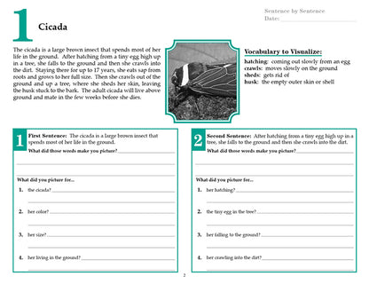 V/V® Comprehension Workbooks - Grade 5