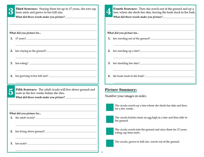 V/V® Comprehension Workbooks - Grade 5