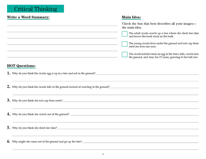 V/V® Comprehension Workbooks - Grade 5