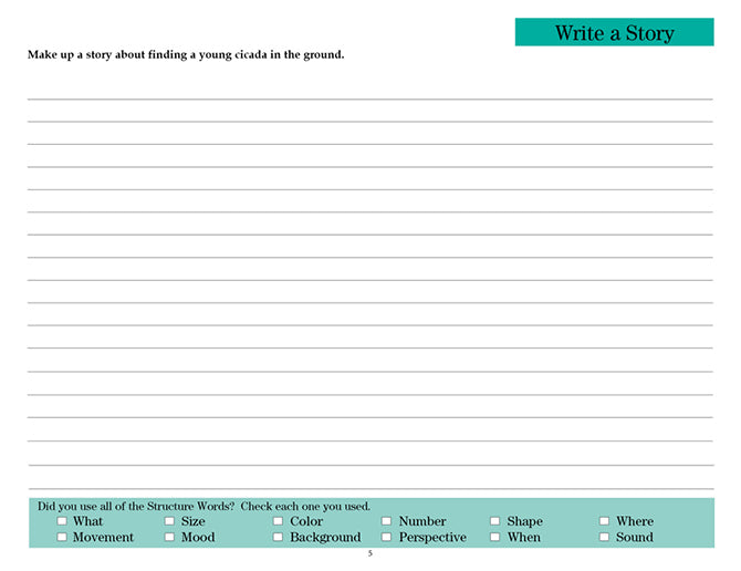 V/V® Comprehension Workbooks - Grade 5