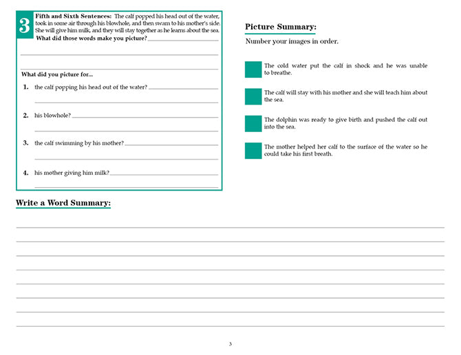 V/V® Comprehension Workbooks - Grade 5