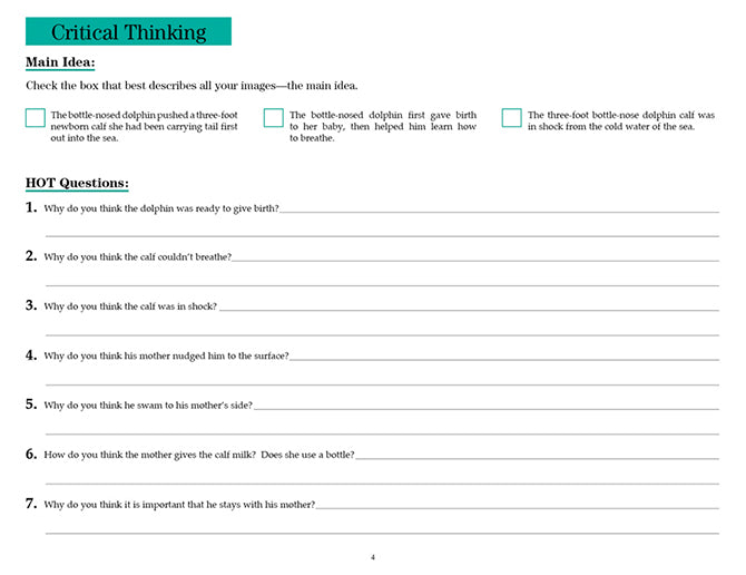 V/V® Comprehension Workbooks - Grade 5