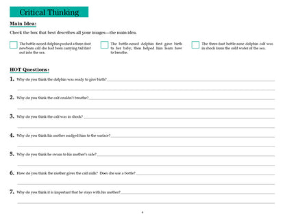 V/V® Comprehension Workbooks - Grade 5