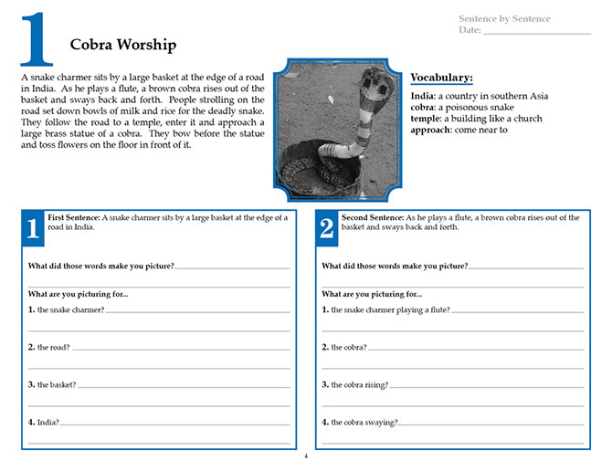 V/V® Comprehension Workbooks - Grade 5