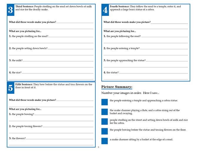 V/V® Comprehension Workbooks - Grade 5