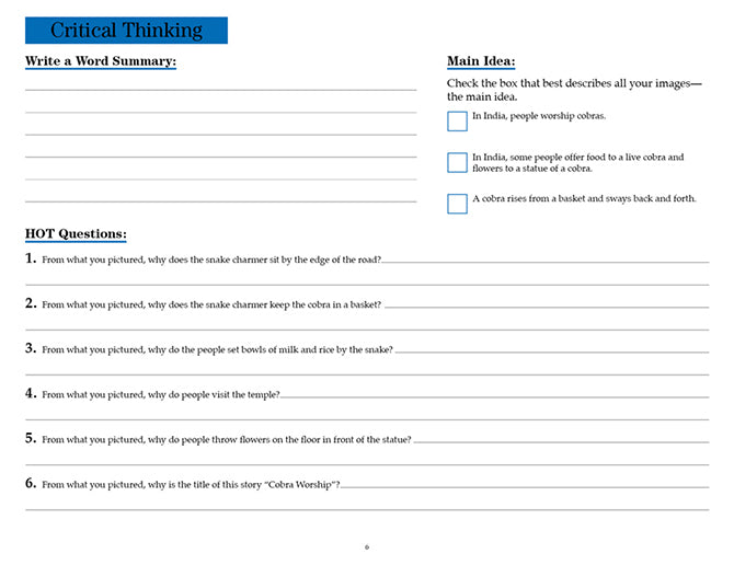 V/V® Comprehension Workbooks - Grade 5