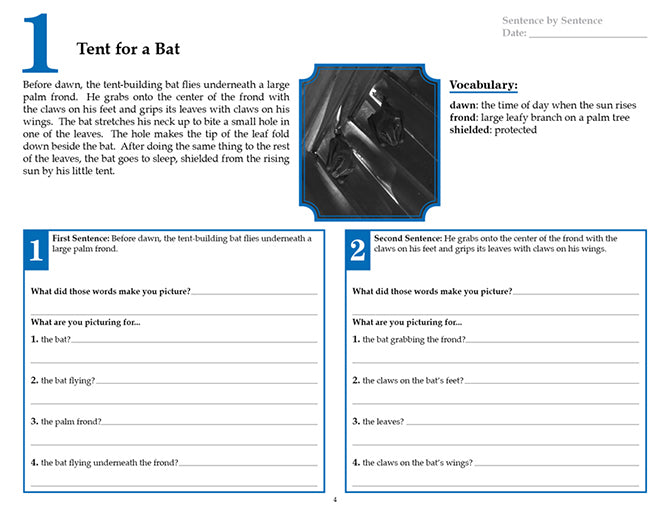 V/V® Comprehension Workbooks - Grade 5