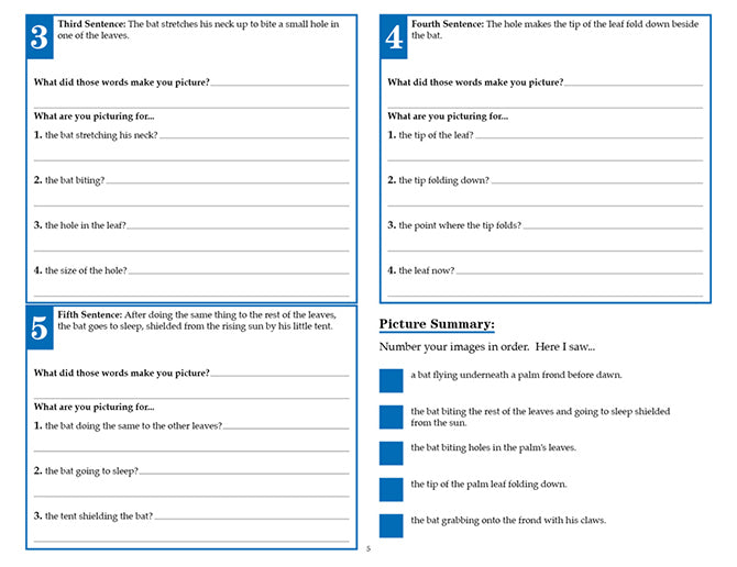 V/V® Comprehension Workbooks - Grade 5