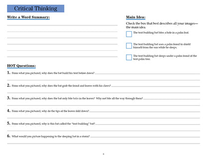 V/V® Comprehension Workbooks - Grade 5