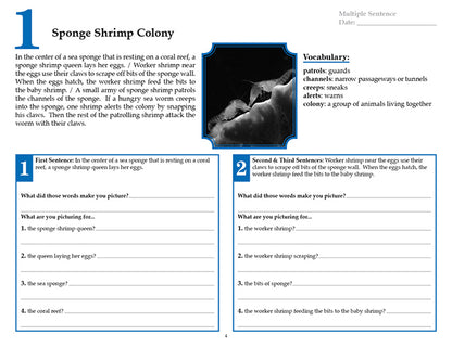 V/V® Comprehension Workbooks - Grade 5